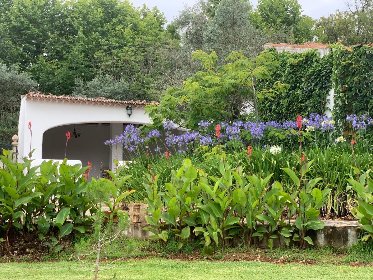 Ferienwohnung Quinta Dos Girassois Fz Ferreira do Zêzere Exterior foto